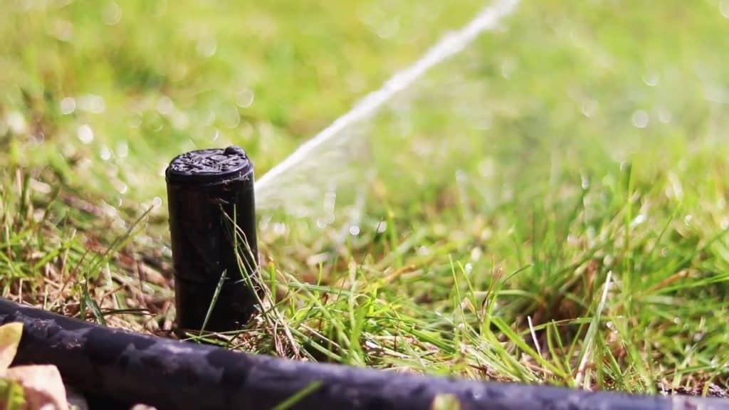 How to adjust Rainbird 5000 Sprinkler Heads in 8 EASY STEPS [2021]